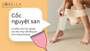 cốc nguyệt san là gì