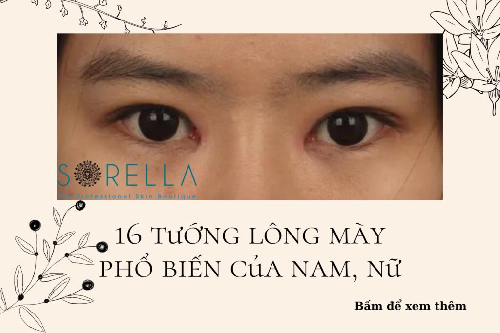 tướng lông mày