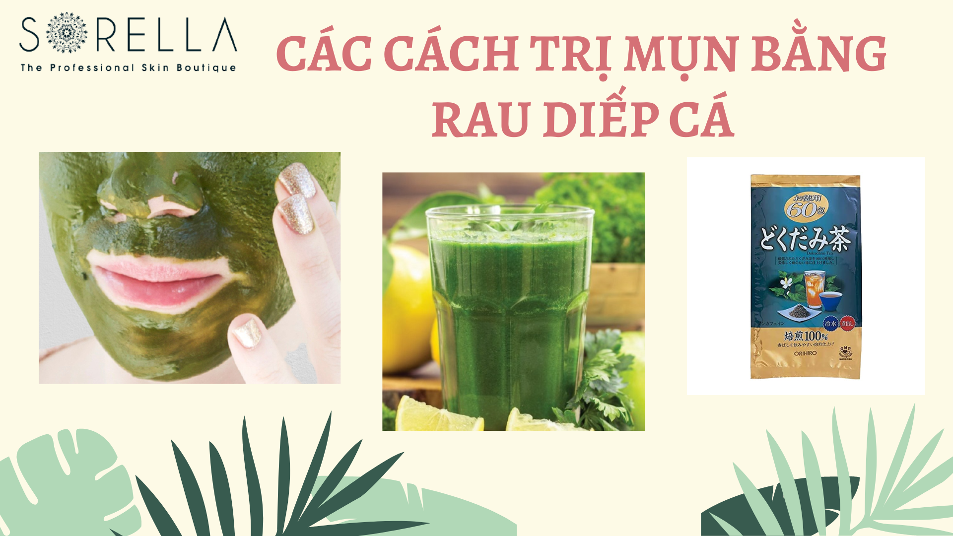 Các cách trị mụn bằng rau diếp cá