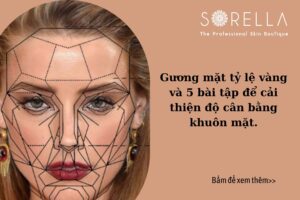 https://new.sorellabeautyspa.com/?p=8630&preview=true