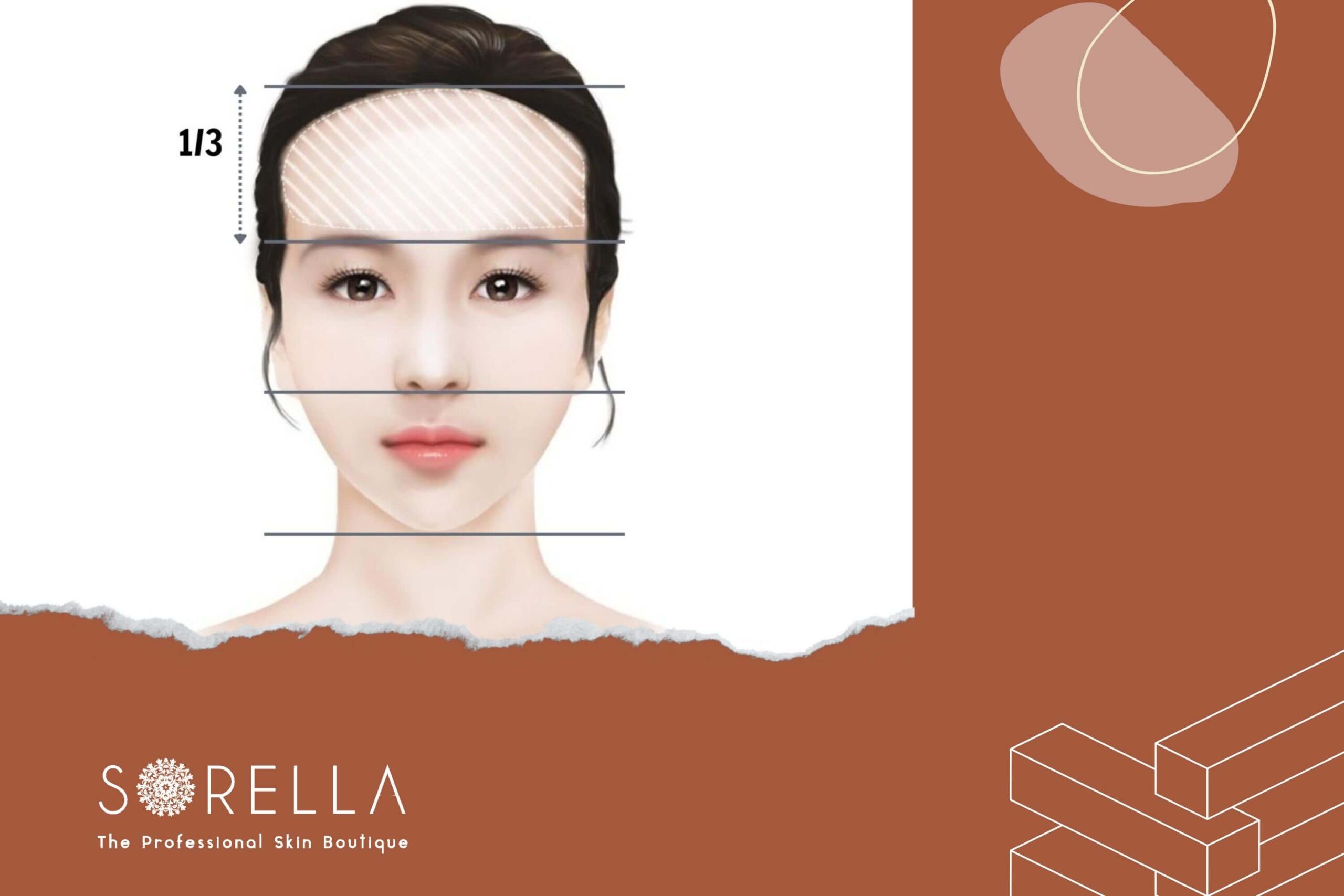 https://new.sorellabeautyspa.com/tran-cao-va-4-kieu-toc-phu-hop-cho-nam-va-nu.html
