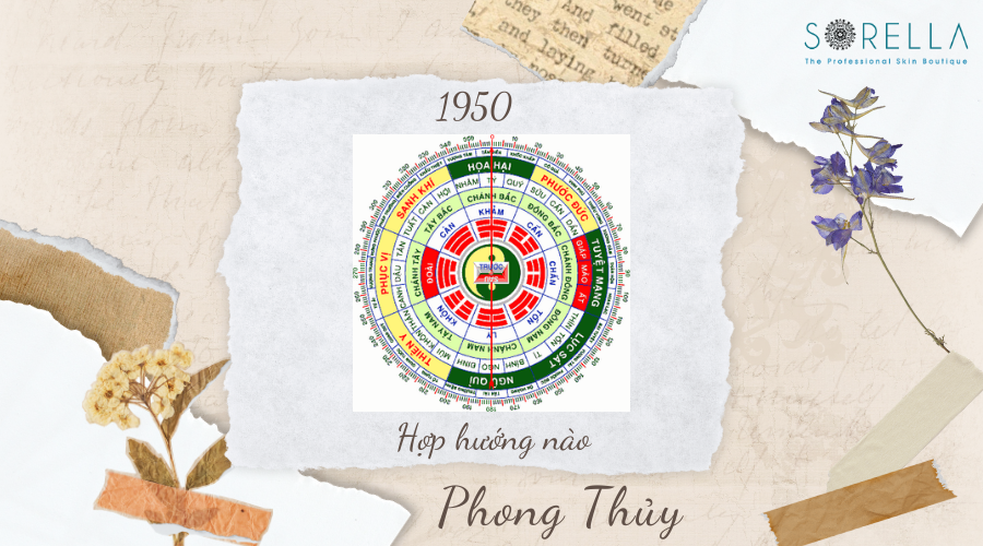 6. Người Sinh Năm 1950 Hợp Hướng Nào ?