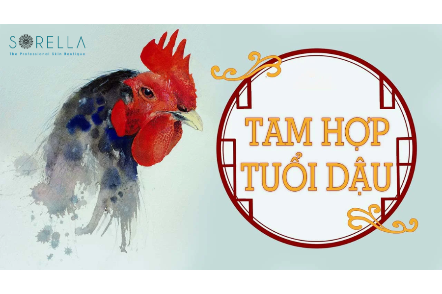 1. Người Sinh Năm 1933 Tuổi Con Gì ?