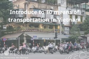 https://new.sorellabeautyspa.com/means-of-transportation-in-vietnam.html transportation in Vietnam