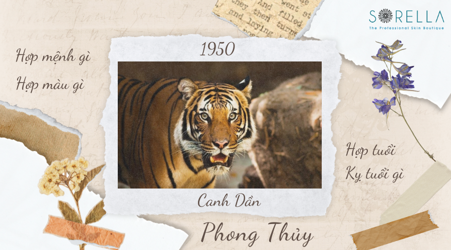 1. Người Sinh Năm 1950 Tuổi Con Gì ?