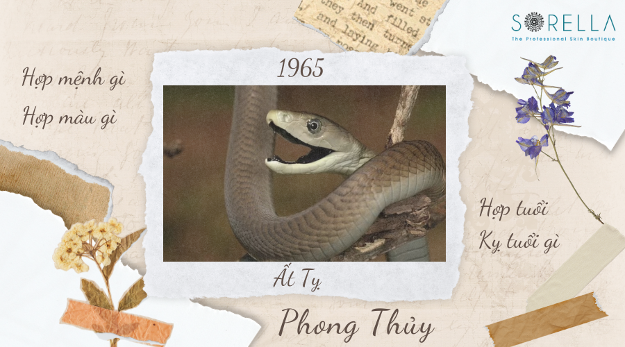 1. Người Sinh Năm 1965 Tuổi Con Gì ?