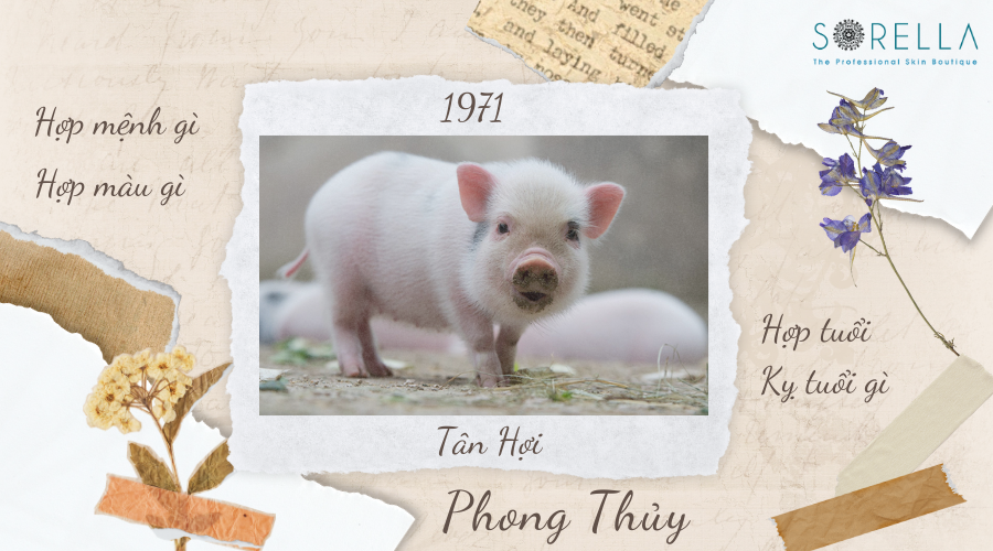 1. Người Sinh Năm 1971 Tuổi Con Gì ?
