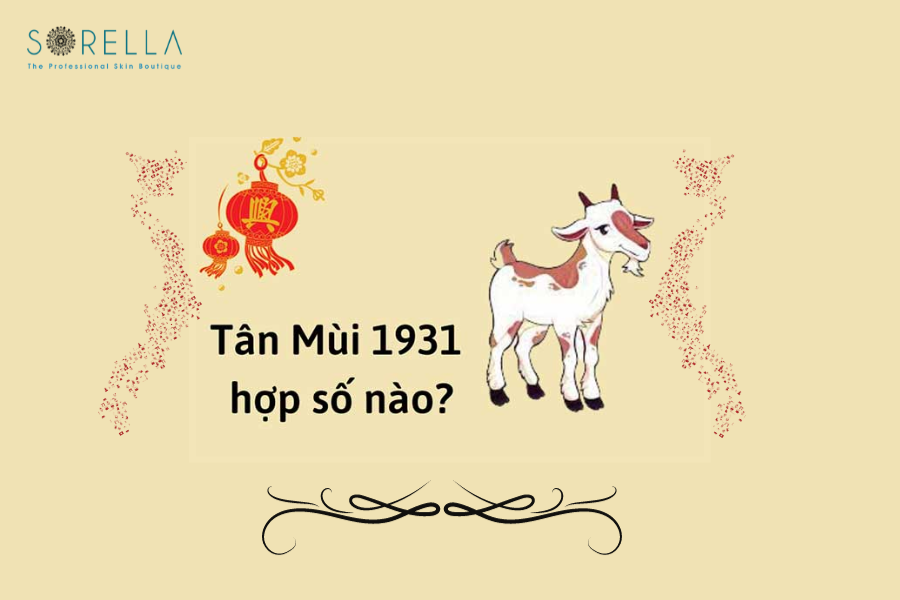 7. Người Sinh Năm 1931 Hợp Con Số Nào ?