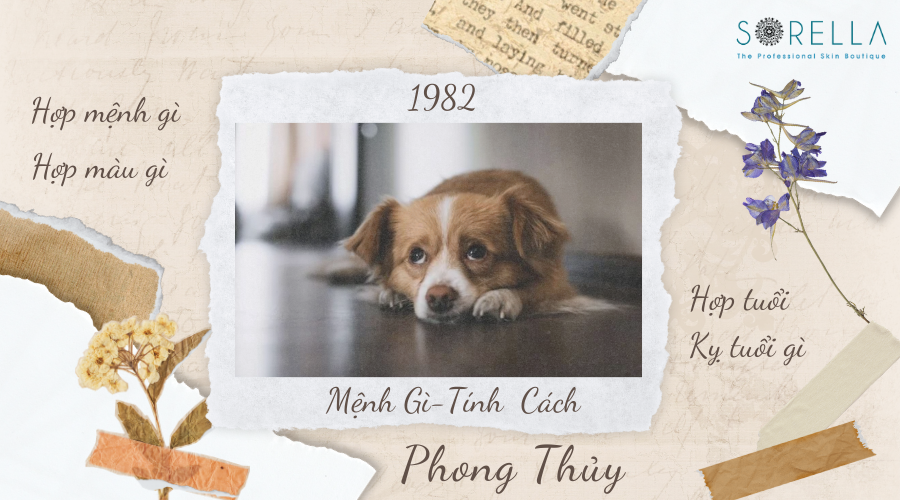 1 Sinh năm 1982 mệnh gì và tính cách như thế nào?