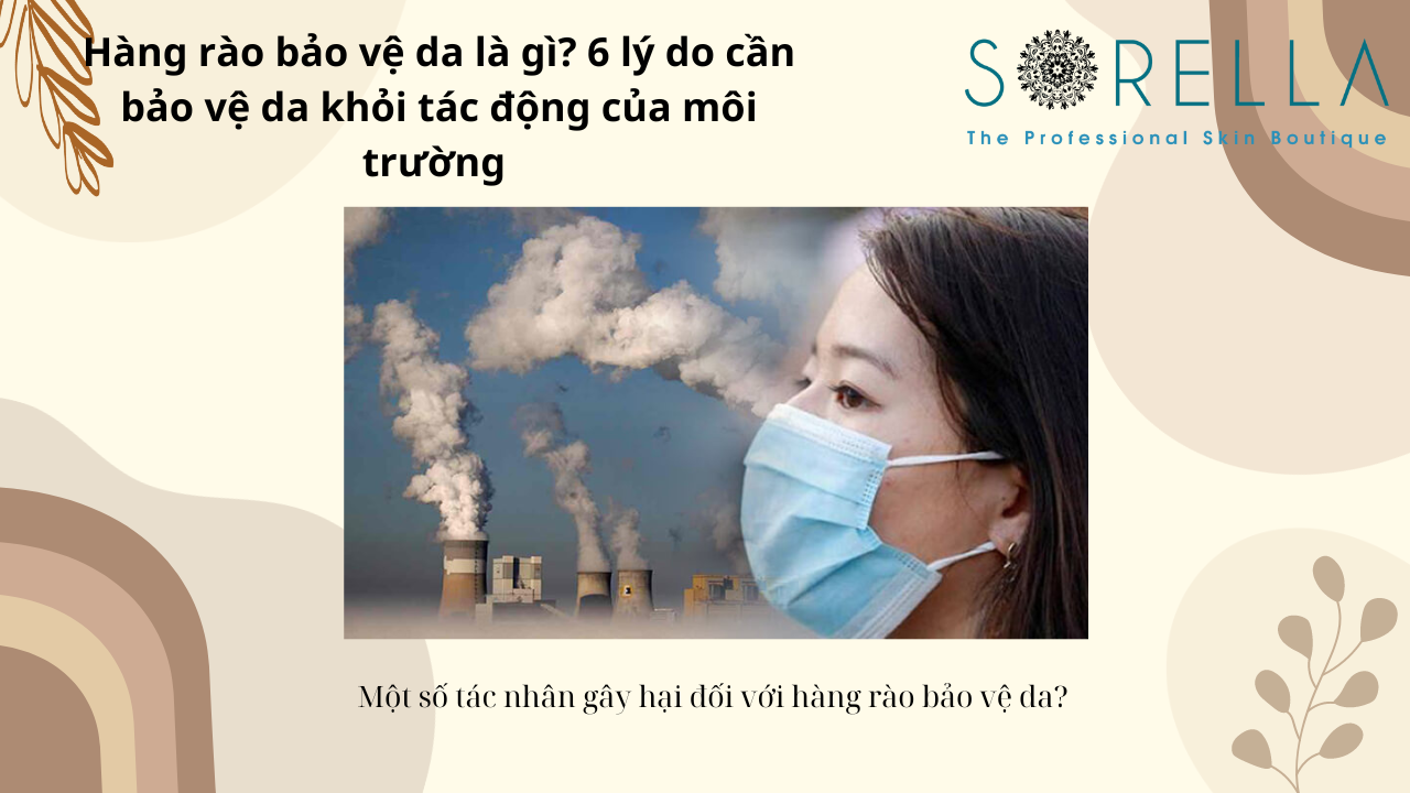 Hàng rào bảo vệ da là gì?