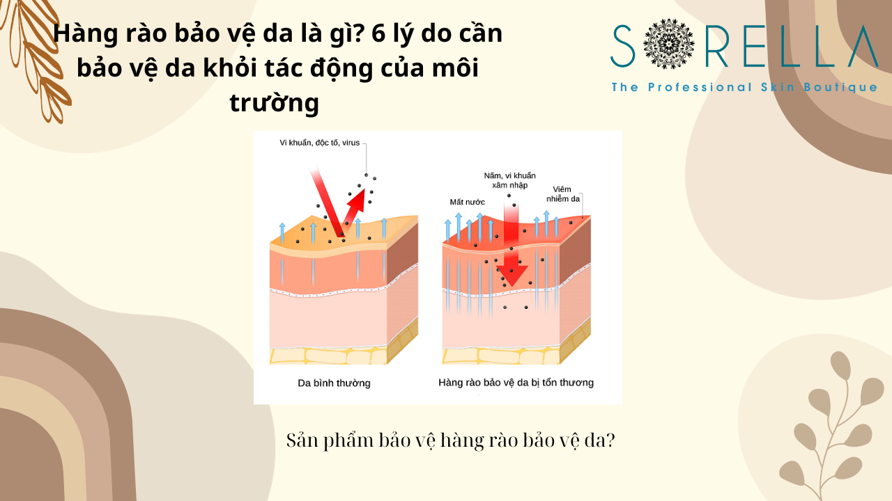 Hàng rào bảo vệ da là gì?