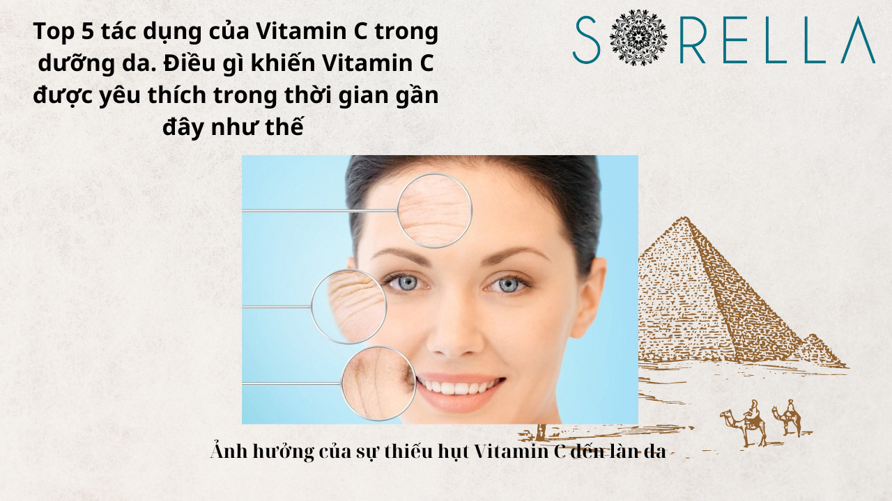 Top 5 tác dụng của Vitamin C 