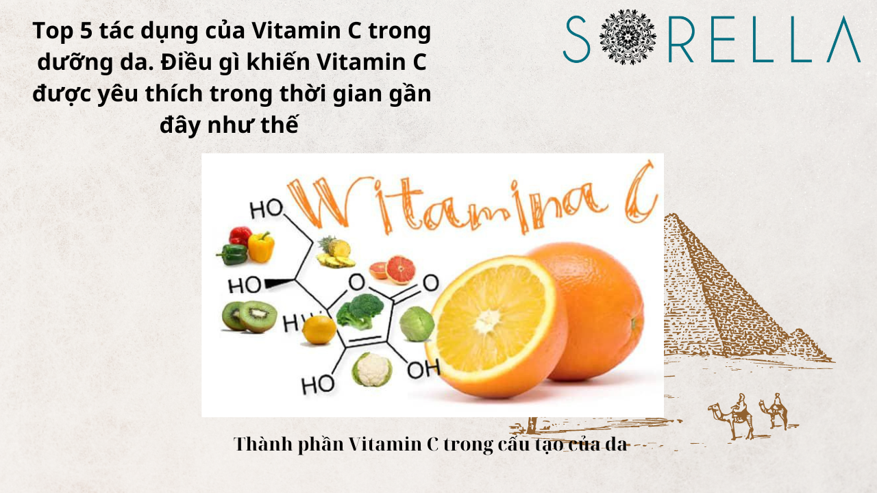 Top 5 tác dụng của Vitamin C 