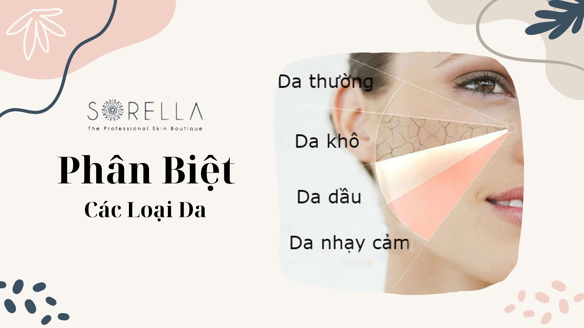5 cách phân biệt các loại da và cách chăm sóc hiệu quả