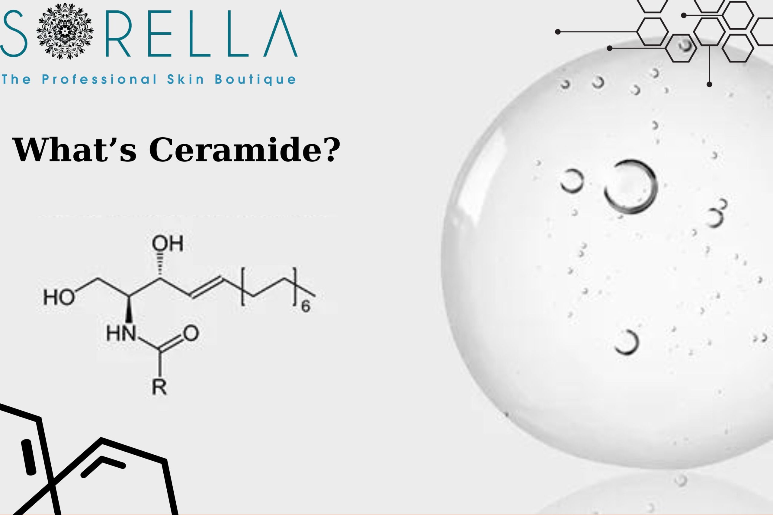 The importance of ceramide
