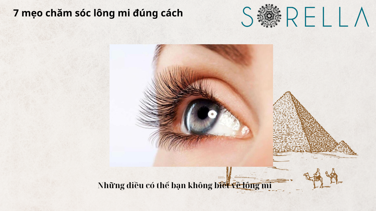 Mẹo chăm sóc lông mi đúng cách