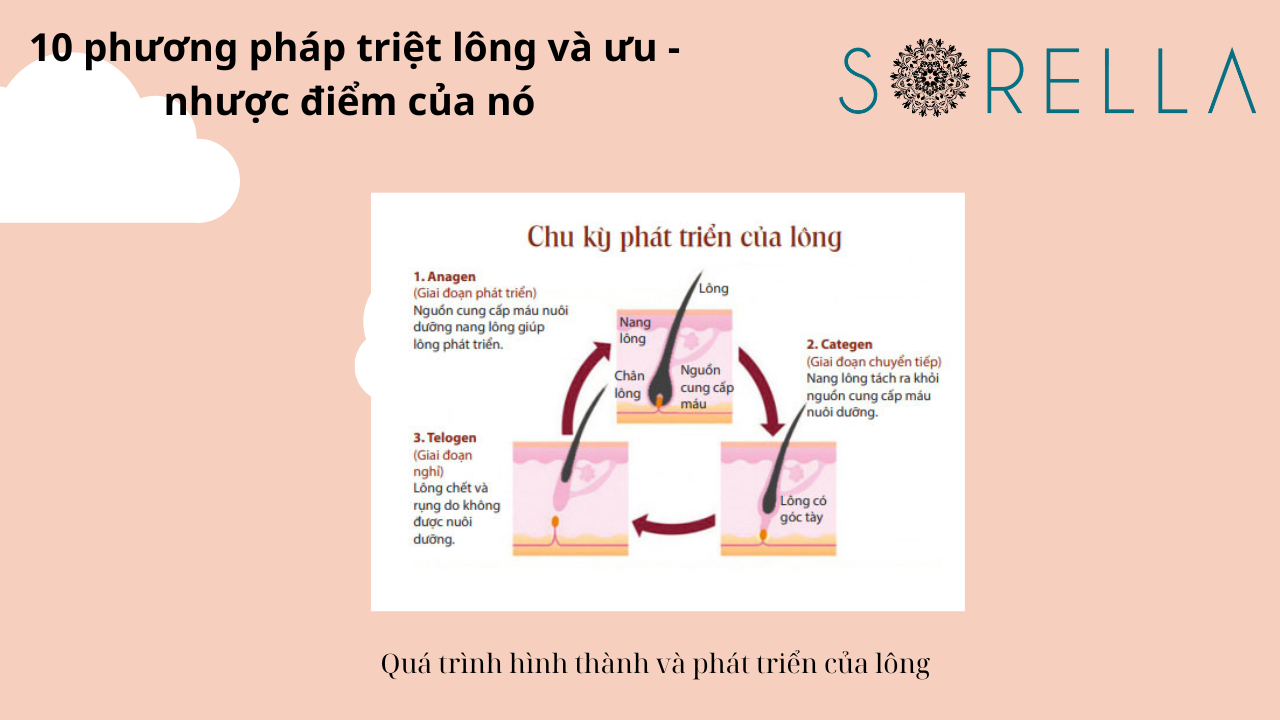 Những phương pháp triệt lông 
