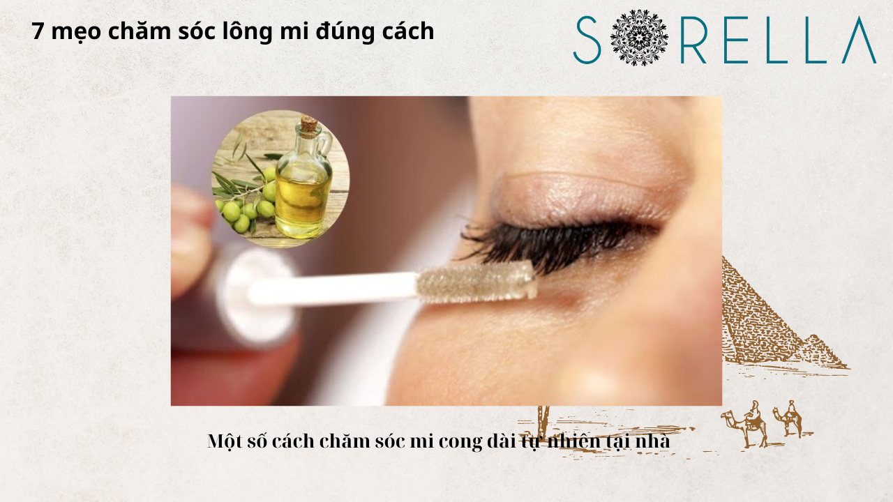 Mẹo chăm sóc lông mi đúng cách
