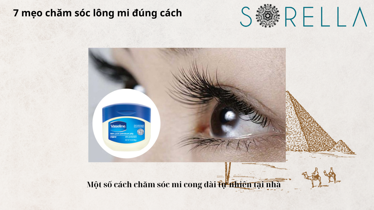 Mẹo chăm sóc lông mi đúng cách