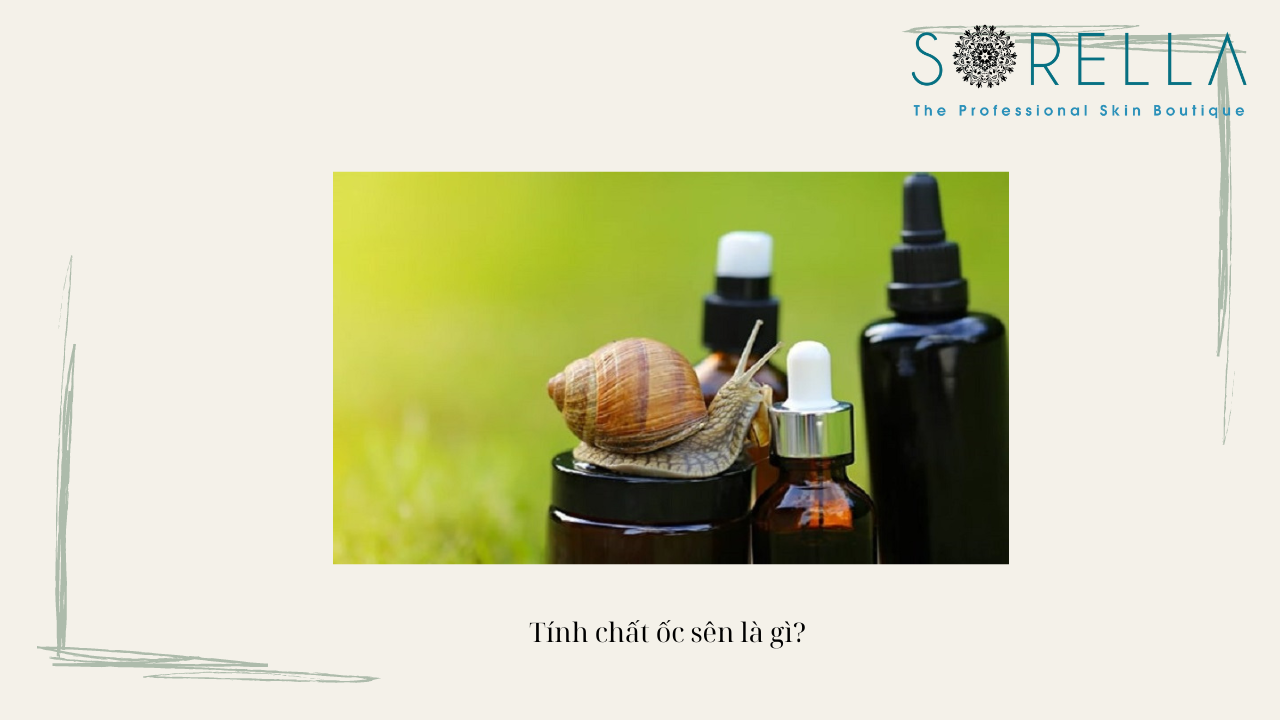 Tinh chất ốc sên là gì? 