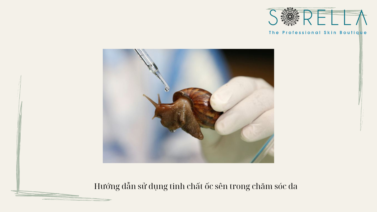 Tinh chất ốc sên là gì? 