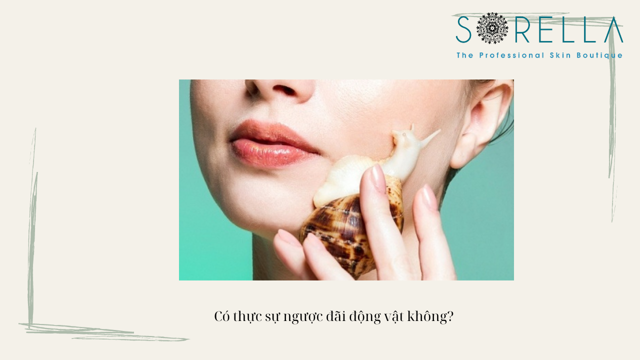 Tinh chất ốc sên là gì? 