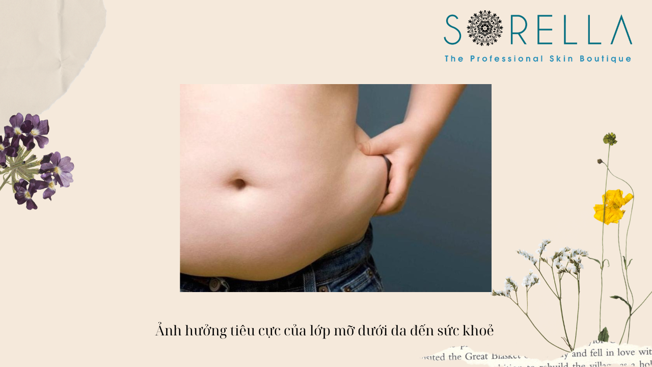 Lớp mỡ dưới da có vai trò như thế nào? 