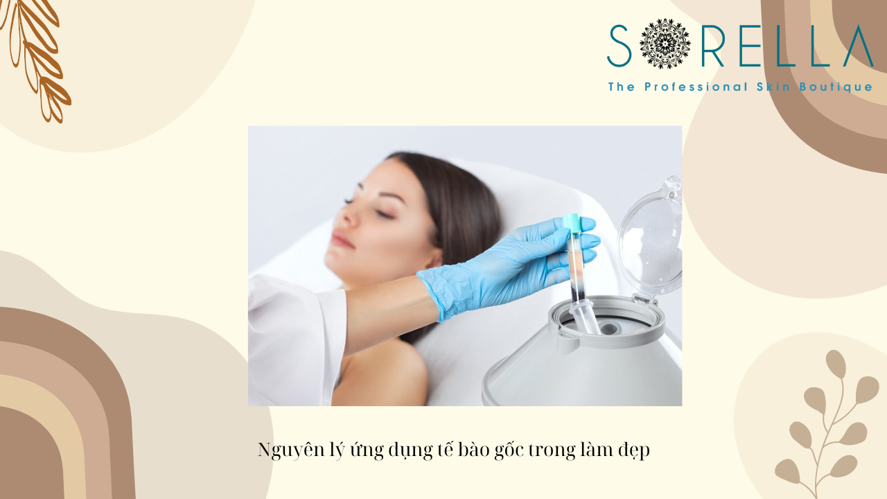 Ứng dụng của tế bào gốc trong làm đẹp