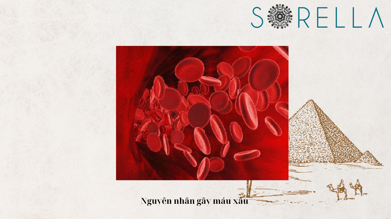 Máu xấu ở phụ nữ có sao không?