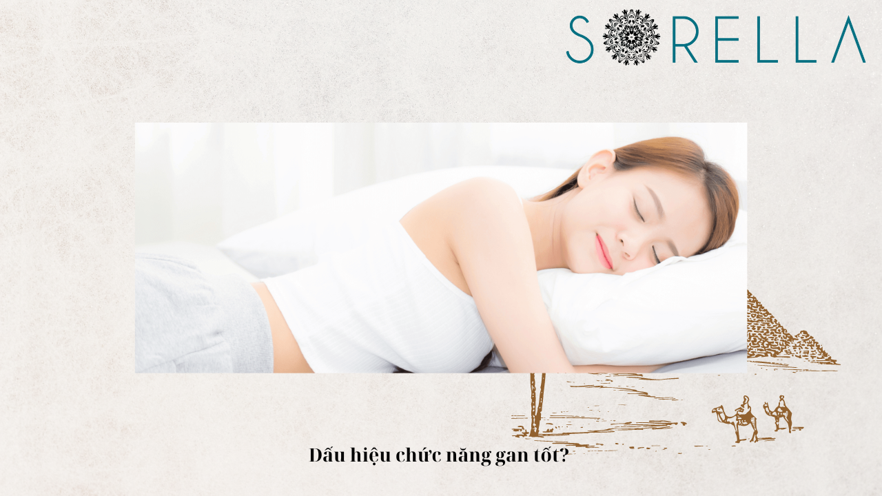 Dấu hiệu chức năng gan tốt? 