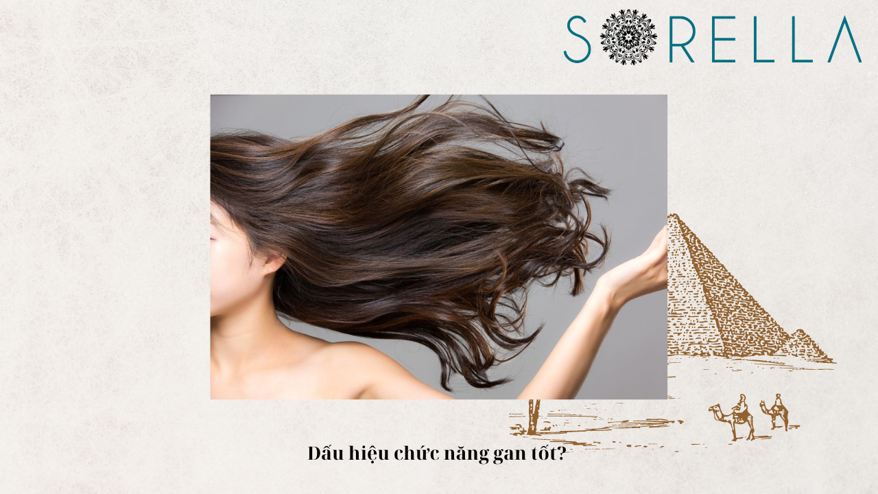 Dấu hiệu chức năng gan tốt? 
