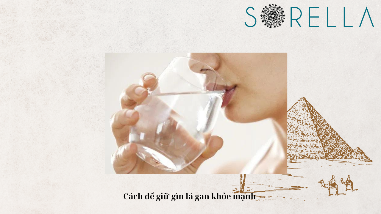 Dấu hiệu chức năng gan tốt? 