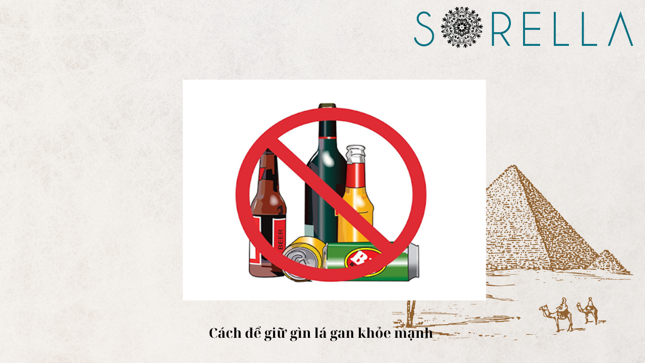 Dấu hiệu chức năng gan tốt? 