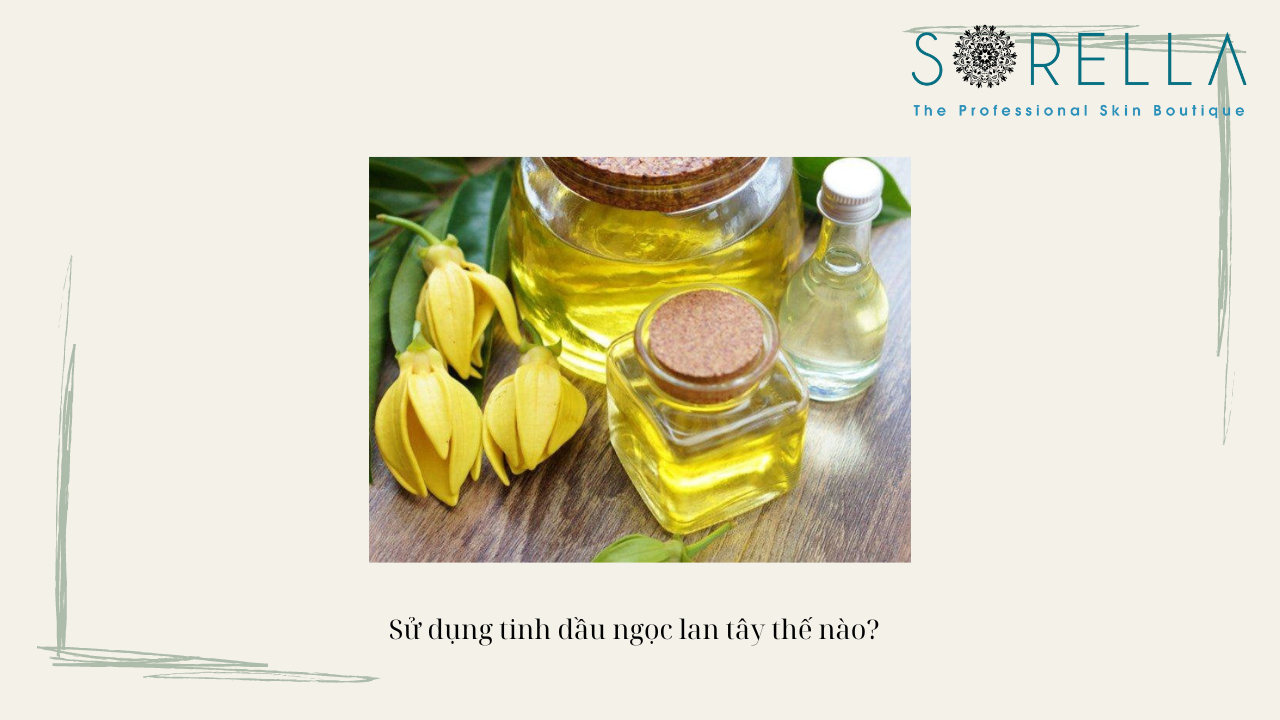 Tinh dầu ngọc lan tây có tác dụng gì? 