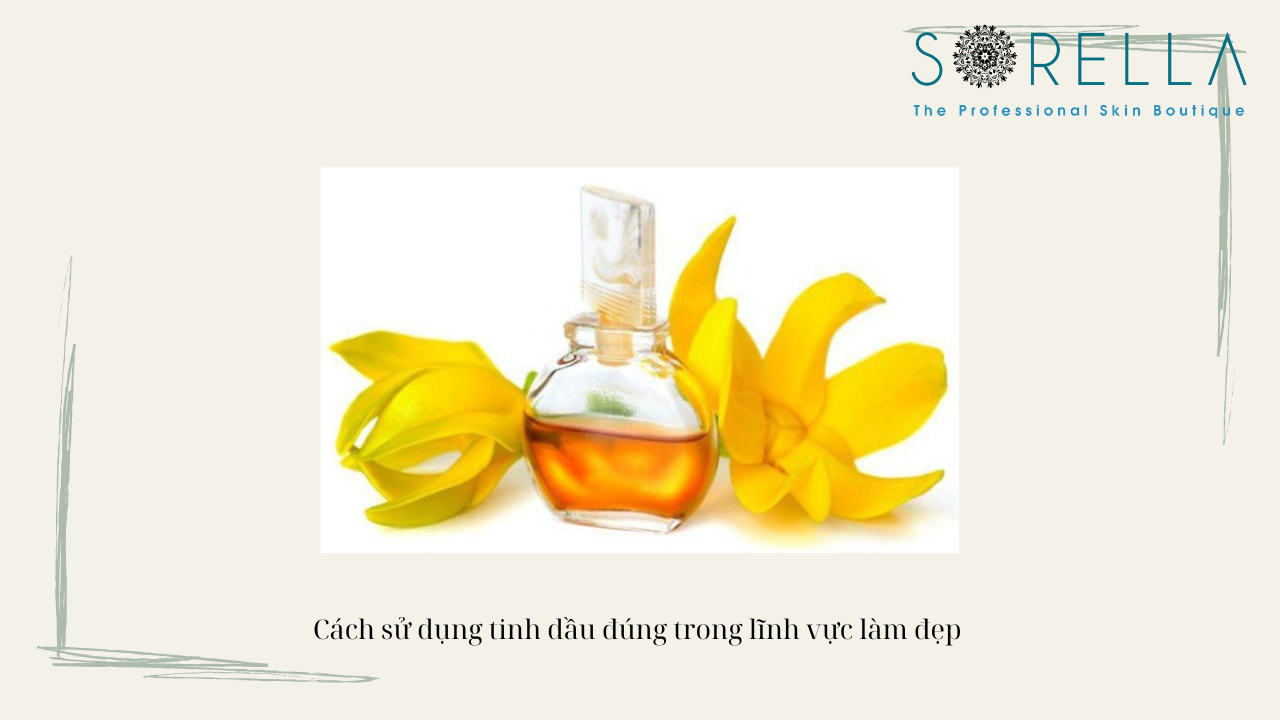 Tinh dầu ngọc lan tây có tác dụng gì? 