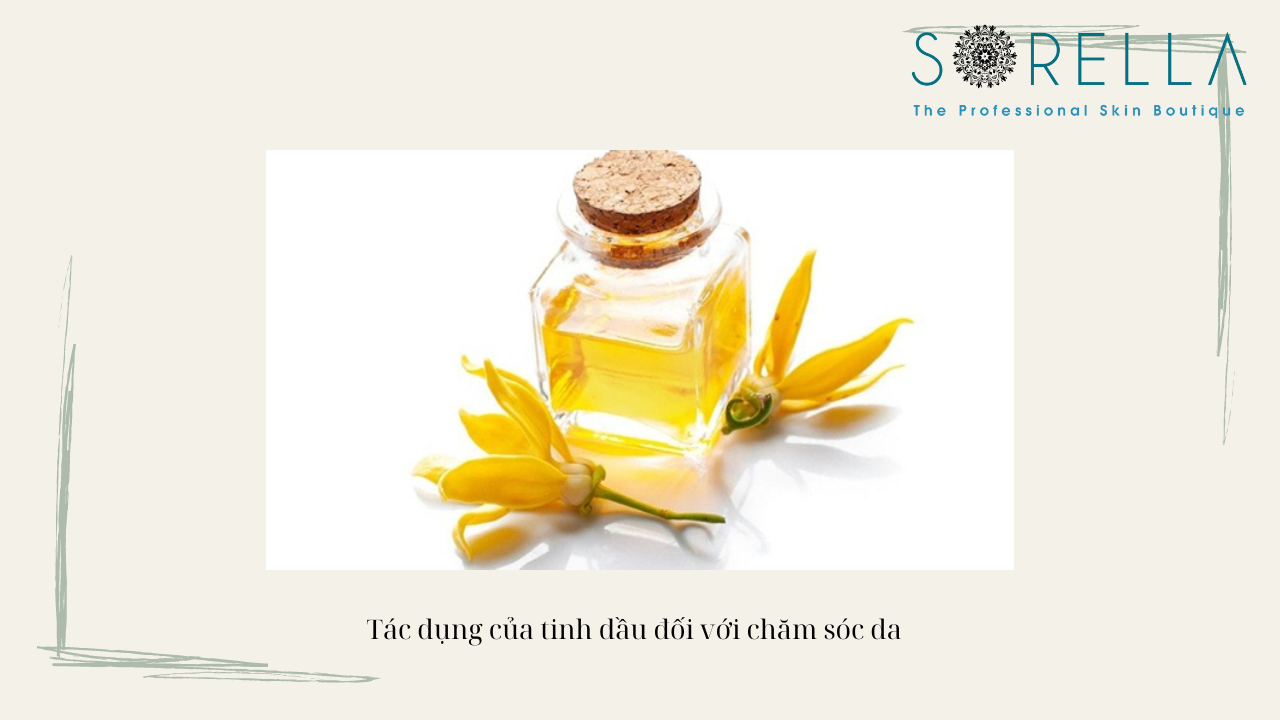 Tinh dầu ngọc lan tây có tác dụng gì? 