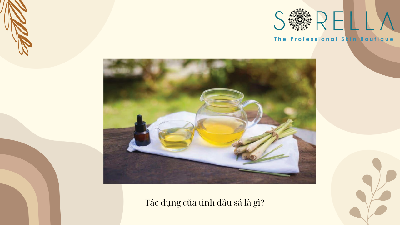 Tác dụng của tinh dầu sả là gì?