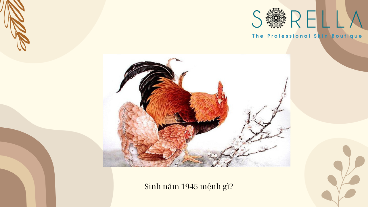 Sinh năm 1945 mệnh gì?
